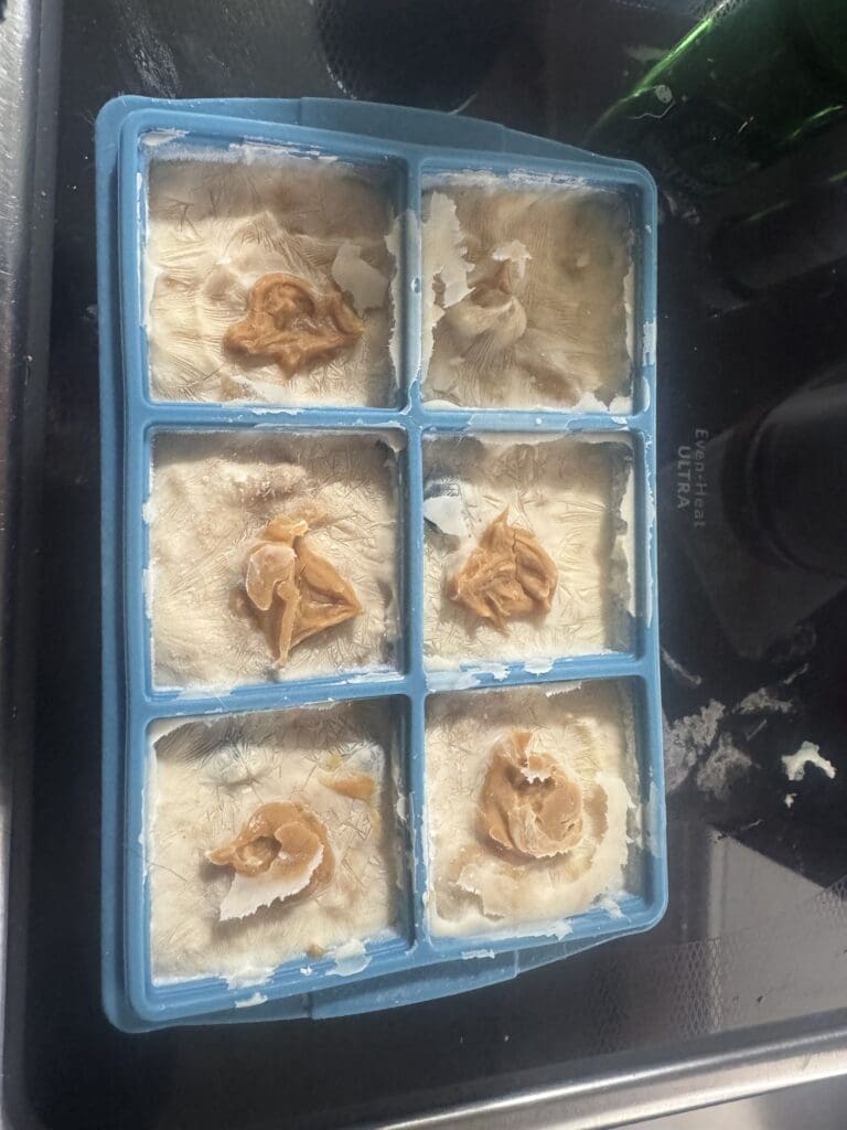 Silicone ice cube tray filled with homemade frozen dog treats made from yogurt and banana, topped with a peanut butter swirl.